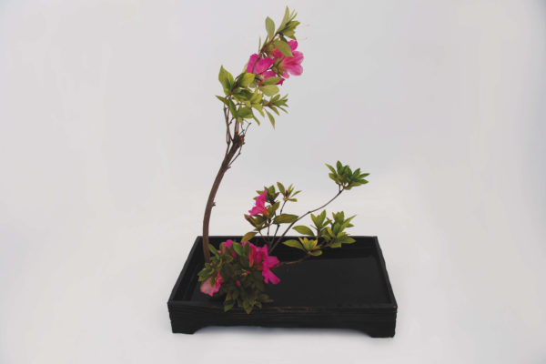 ChilliBlooms-Ikebana12