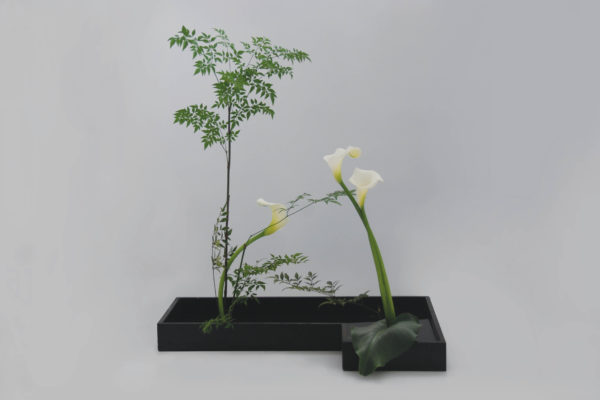 ChilliBlooms-Ikebana14