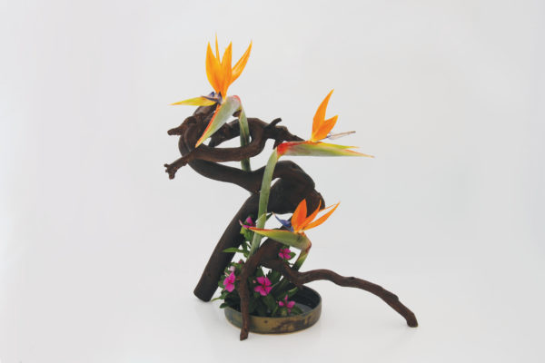 ChilliBlooms-Ikebana6