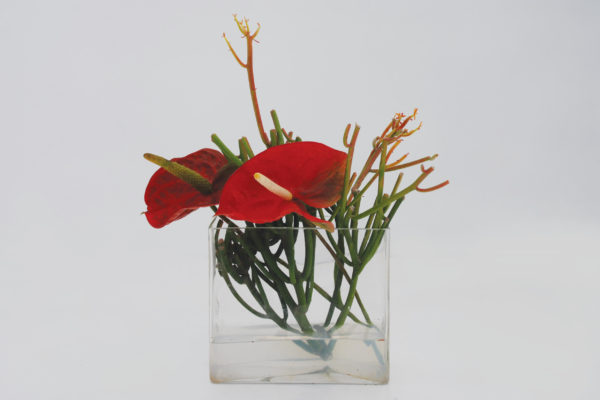 ChilliBlooms-Ikebana9